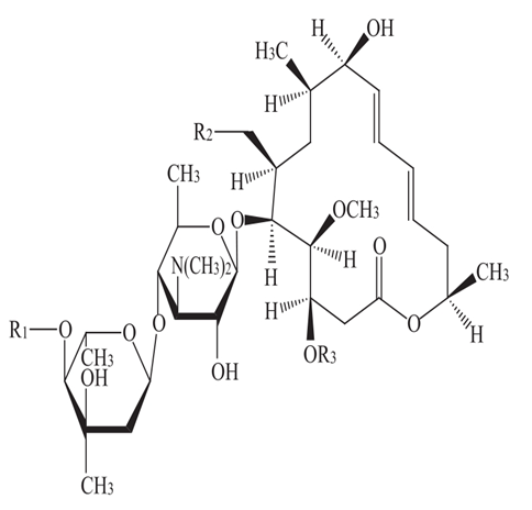 JOSAMYCIN IMPURITY N